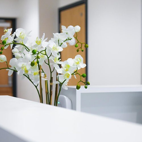 picture of white flowers on reception desk